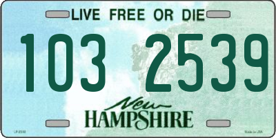 NH license plate 1032539