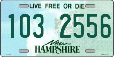NH license plate 1032556