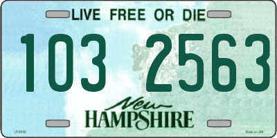 NH license plate 1032563