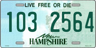 NH license plate 1032564