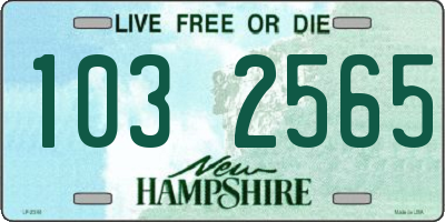 NH license plate 1032565