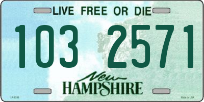 NH license plate 1032571