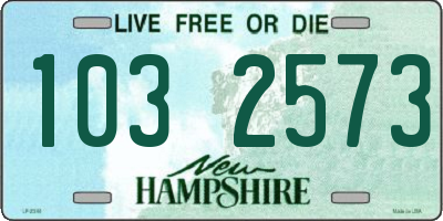 NH license plate 1032573