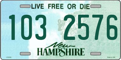 NH license plate 1032576