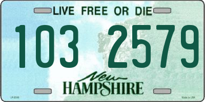 NH license plate 1032579
