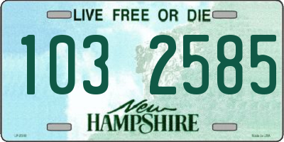NH license plate 1032585