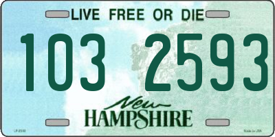 NH license plate 1032593