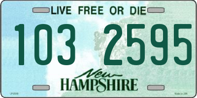 NH license plate 1032595