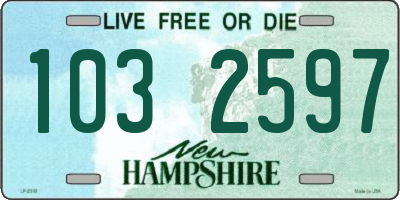 NH license plate 1032597