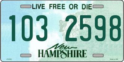 NH license plate 1032598