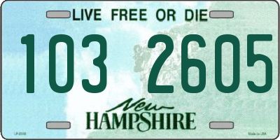 NH license plate 1032605