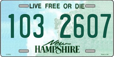 NH license plate 1032607