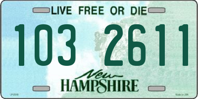 NH license plate 1032611