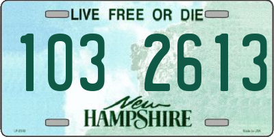 NH license plate 1032613