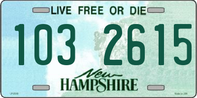 NH license plate 1032615