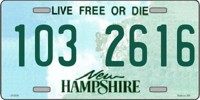 NH license plate 1032616