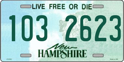 NH license plate 1032623