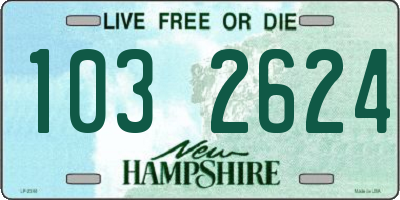 NH license plate 1032624
