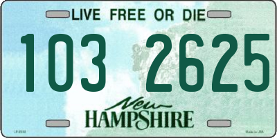 NH license plate 1032625