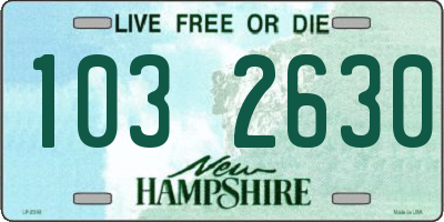 NH license plate 1032630