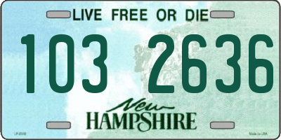 NH license plate 1032636