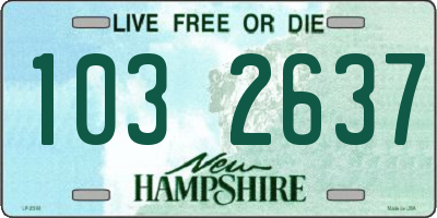 NH license plate 1032637