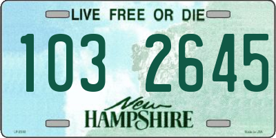 NH license plate 1032645