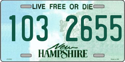 NH license plate 1032655