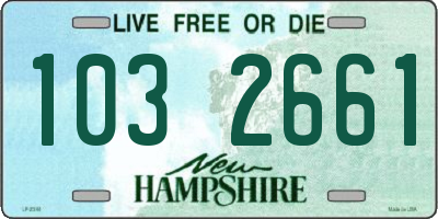 NH license plate 1032661
