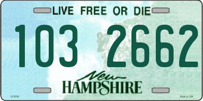 NH license plate 1032662