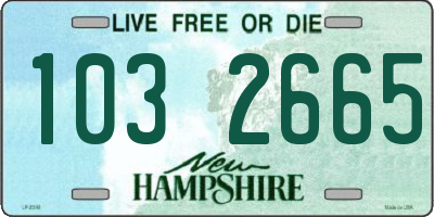 NH license plate 1032665