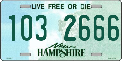 NH license plate 1032666