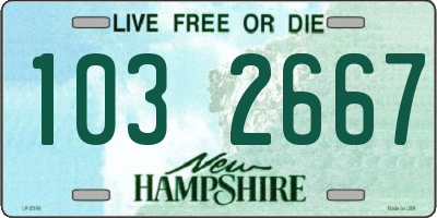 NH license plate 1032667
