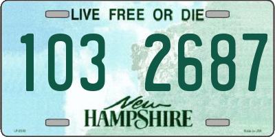 NH license plate 1032687