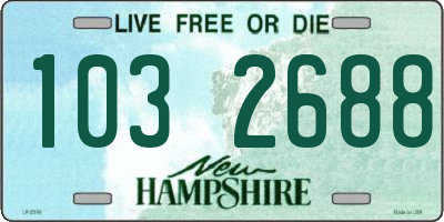 NH license plate 1032688
