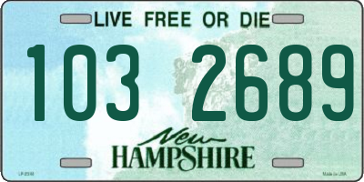 NH license plate 1032689