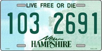 NH license plate 1032691