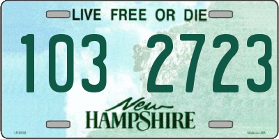 NH license plate 1032723