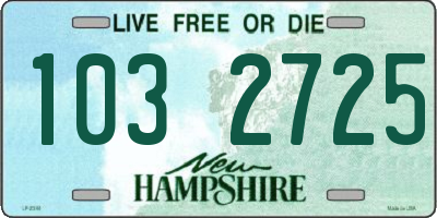 NH license plate 1032725