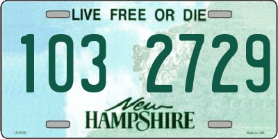 NH license plate 1032729