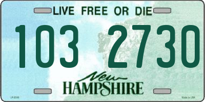 NH license plate 1032730