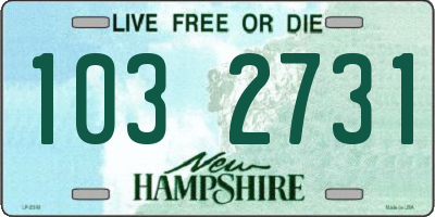 NH license plate 1032731