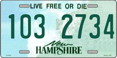 NH license plate 1032734