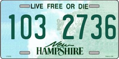 NH license plate 1032736