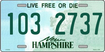 NH license plate 1032737