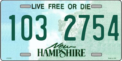 NH license plate 1032754