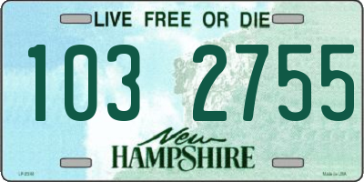 NH license plate 1032755