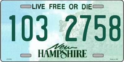 NH license plate 1032758