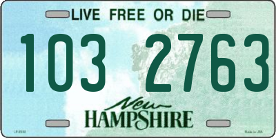 NH license plate 1032763