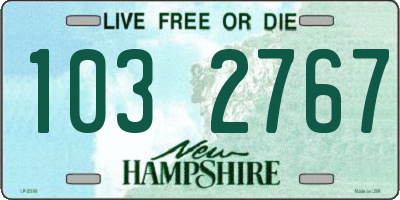 NH license plate 1032767